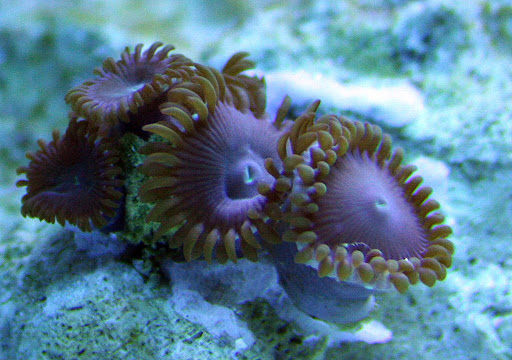 IMG_3547.JPG