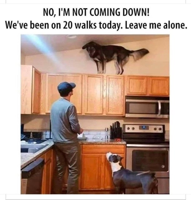 4bc3f351-59f1-4eb6-a3b3-f5b617fe1963-jpeg.1665901