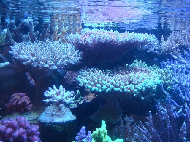 6039266786_fdf86ee20d_z.jpg