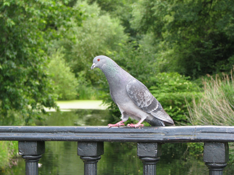 IMG_6320.JPG