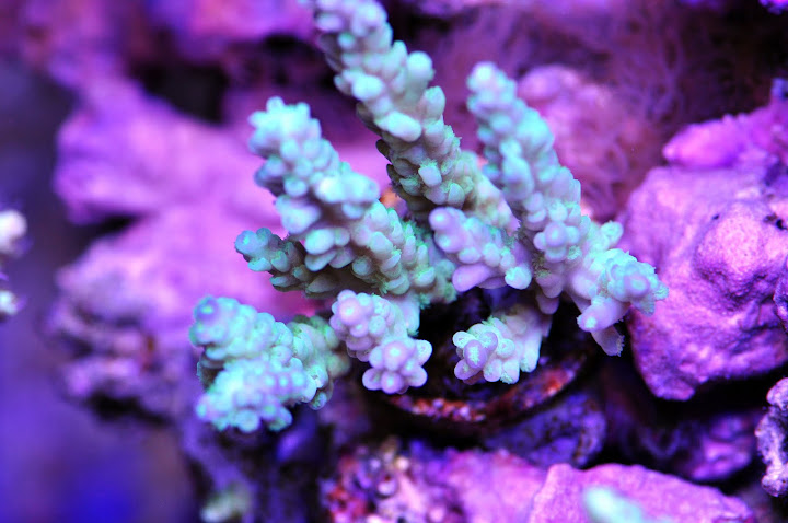 DSC_3380.JPG