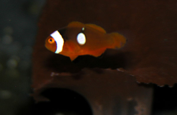 DSCN7845.jpg