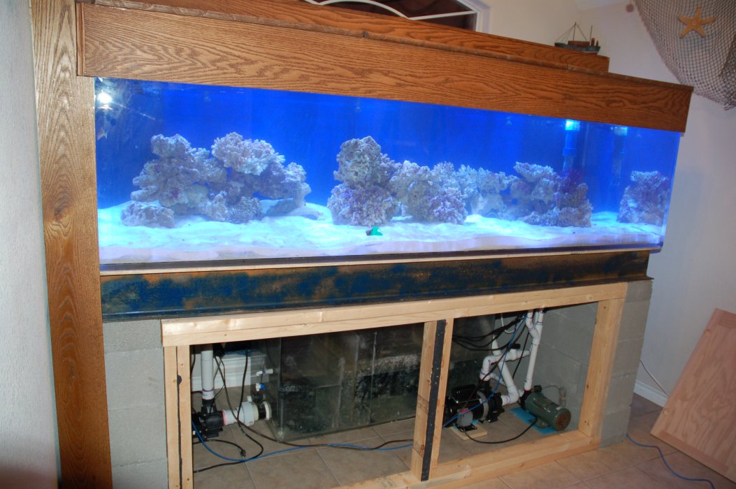 fishroom61.jpg