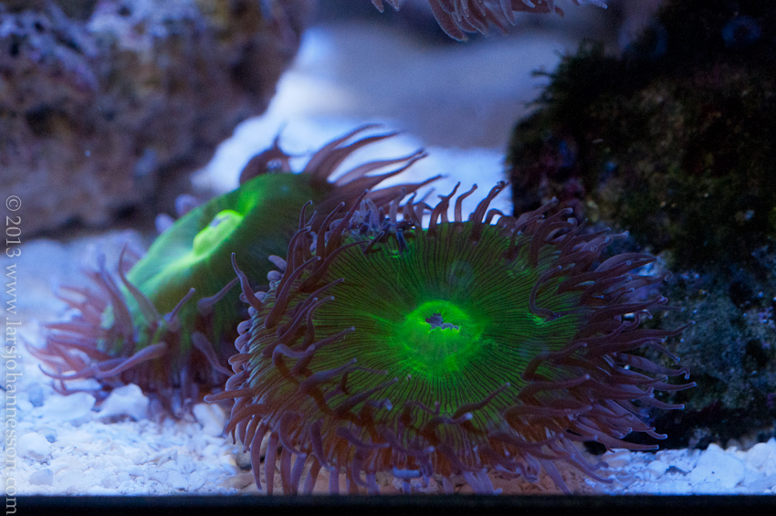 20131031-_DSC4453.jpg