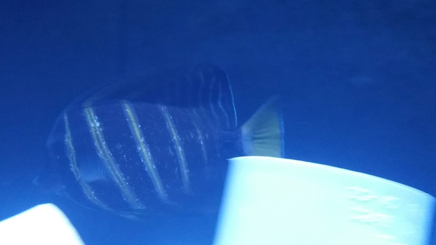 20171218_083935.jpg