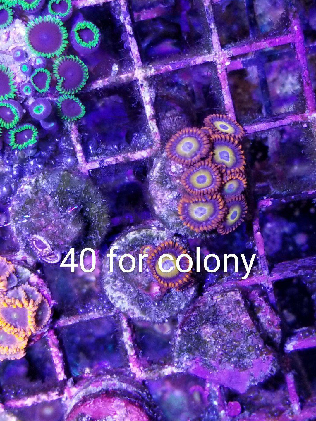 f309b4b9cd21e2d506ca84a04b7b52af.jpg