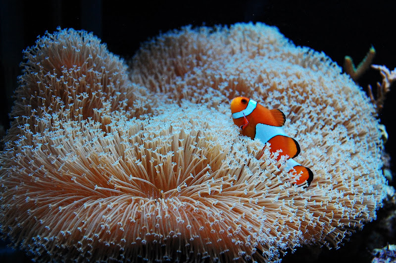 DSC_7138.JPG