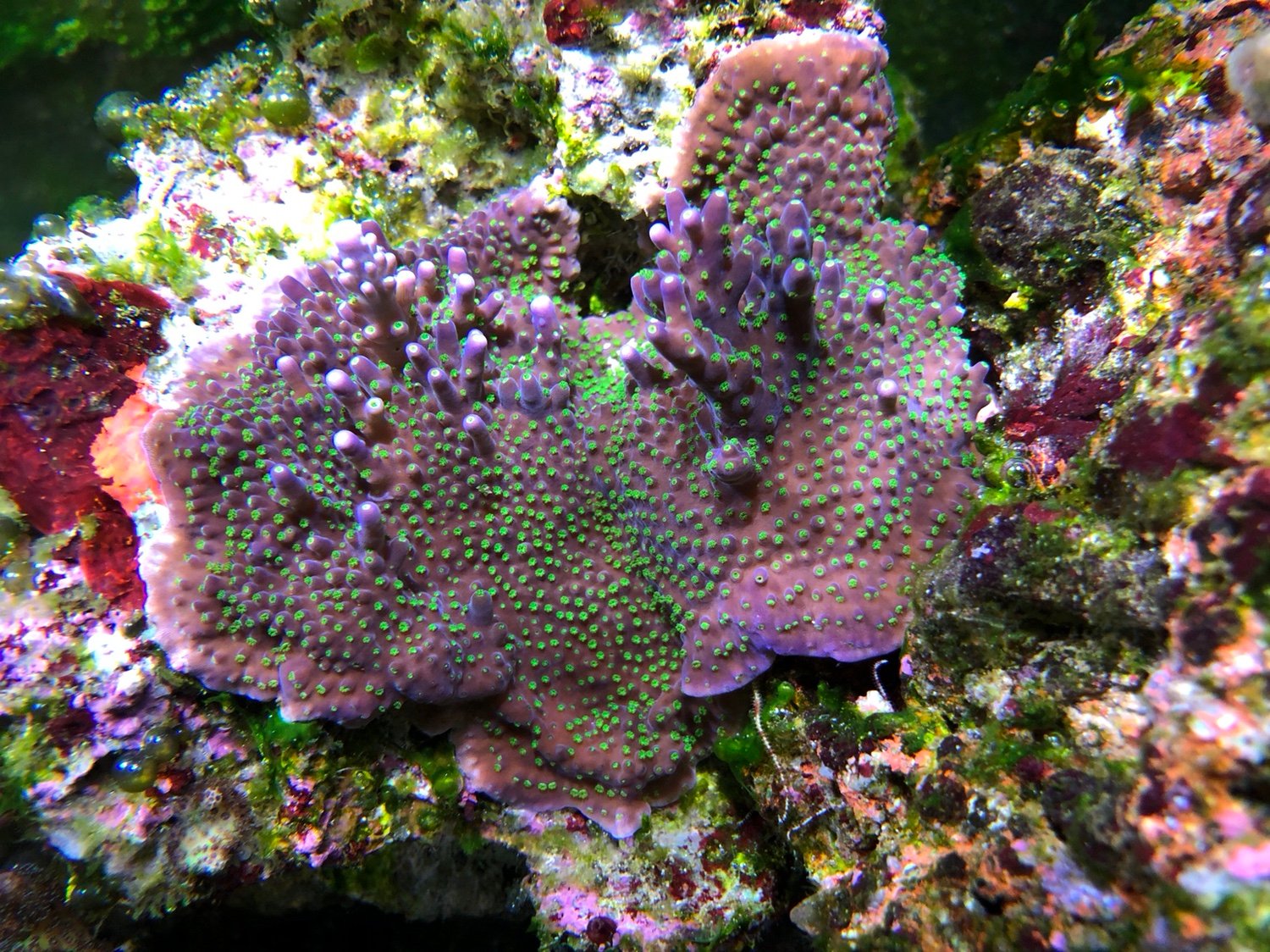 1509cfcf4747b37126aa9416cf5c537f.jpg