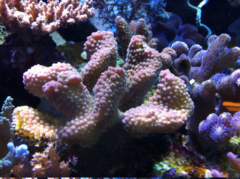 photo-5-L.jpg