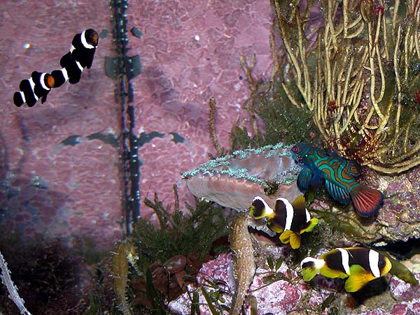 DSCN7005.jpg
