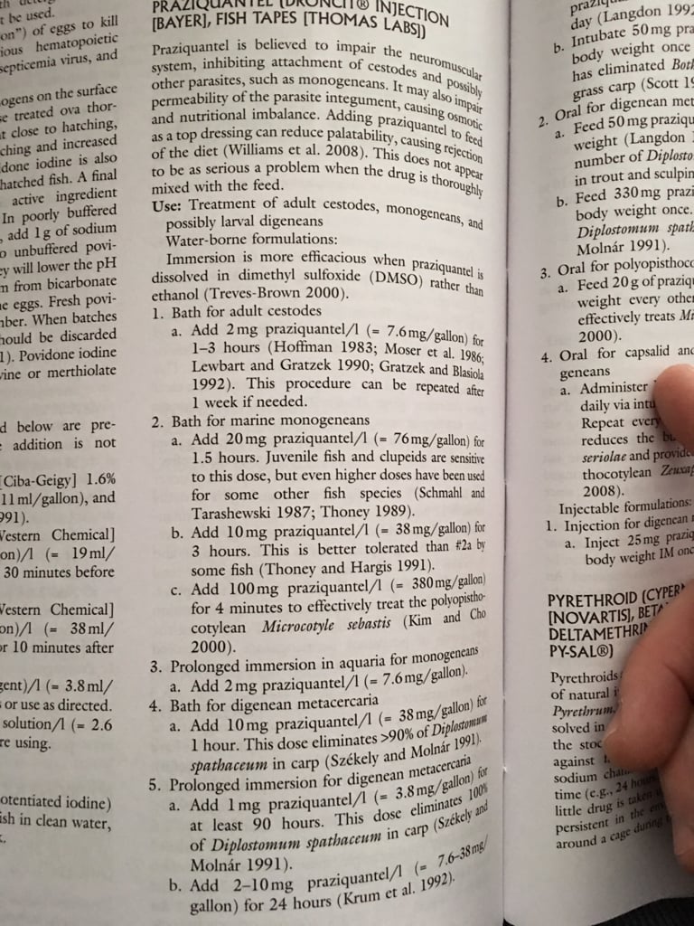 02608f642e5946d9126f2973f4fdd0d0.jpg