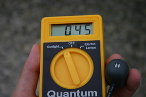 lightmeter_rain.jpg