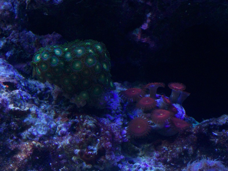 100_9633.jpg