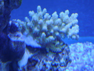 DSC03356.JPG