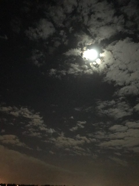 34103104531_8ef0263990_z.jpg