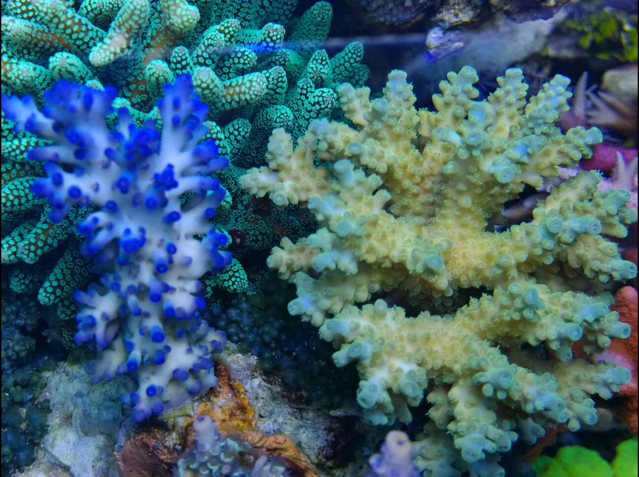 8f091d33026100c15cb5311337612689.jpg