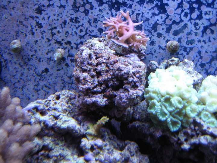 IMG_0654.JPG