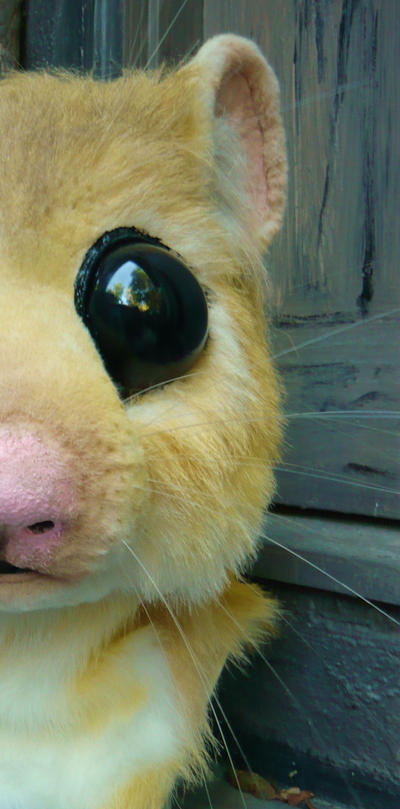 rodent_sneek_peek_by_LilleahWest.jpg