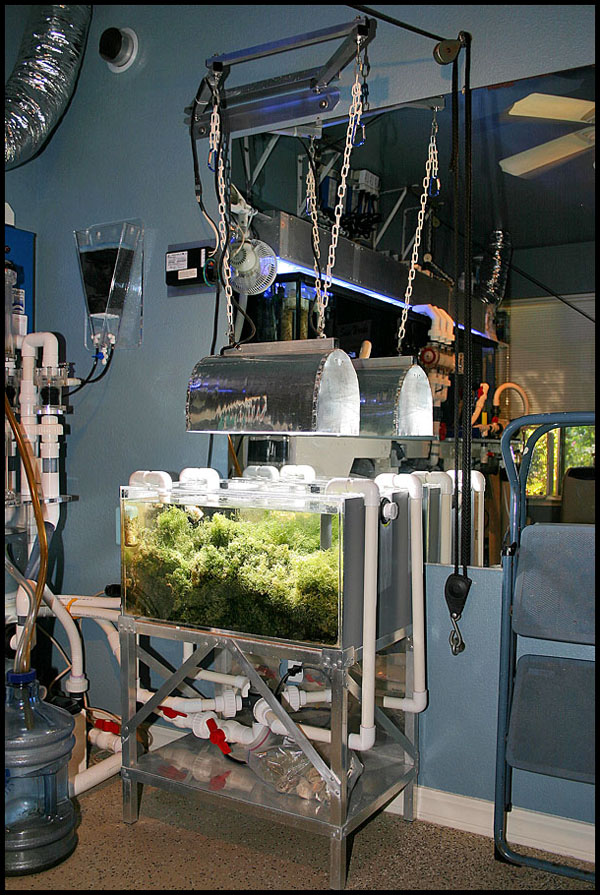 774_refugium.jpg