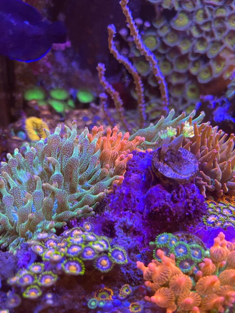 3f69beb05d6ec94f262eafb76c10d917.jpg