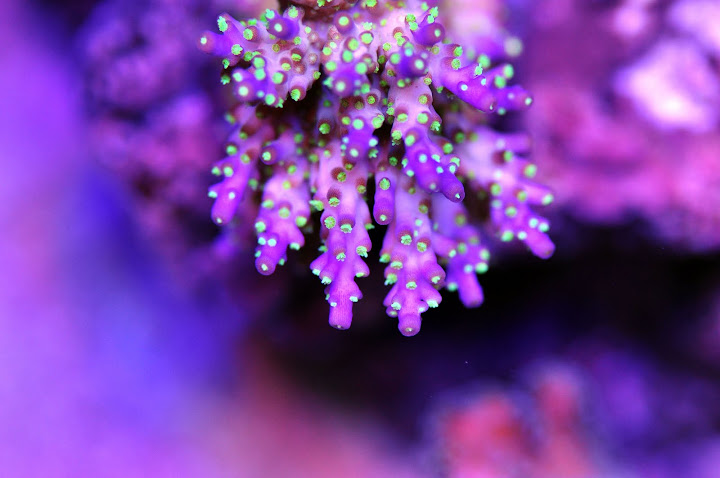 DSC_3387.JPG