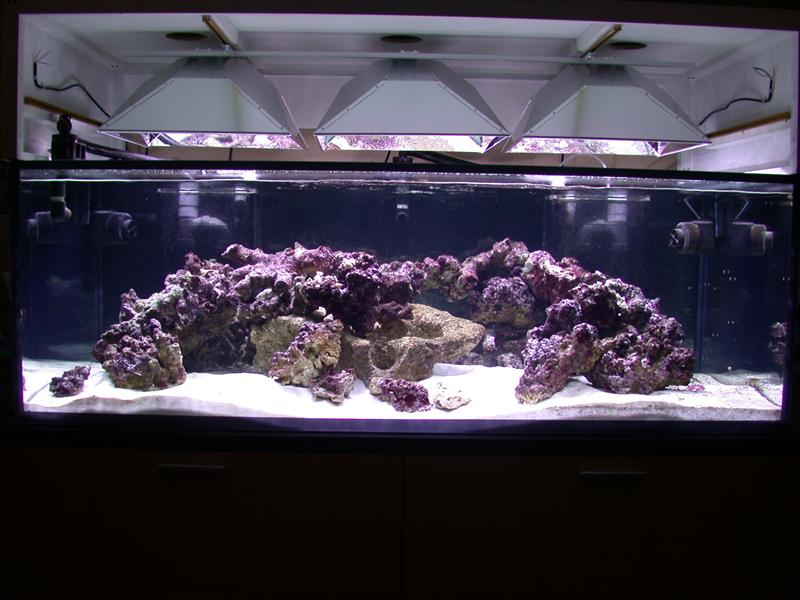 DSCN2374.JPG