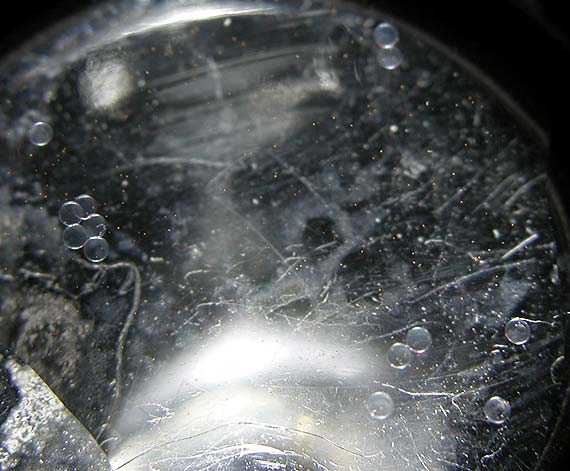DSCN3113_13eggs.jpg