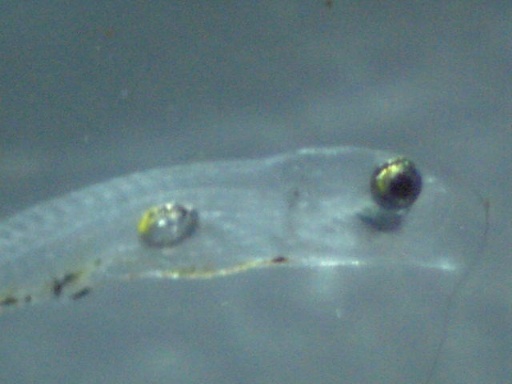 GBG_324_7.jpg