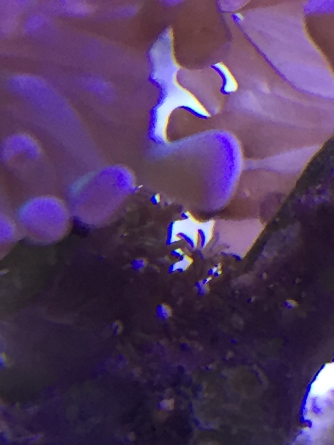 ea1e011ff82bc3d8b967543d10d65aef.jpg