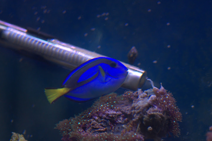 DSC_0213.JPG