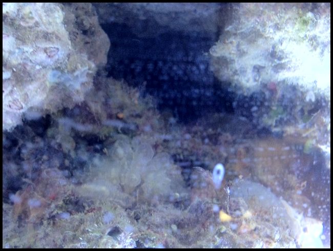 sbjnano5251203.JPG