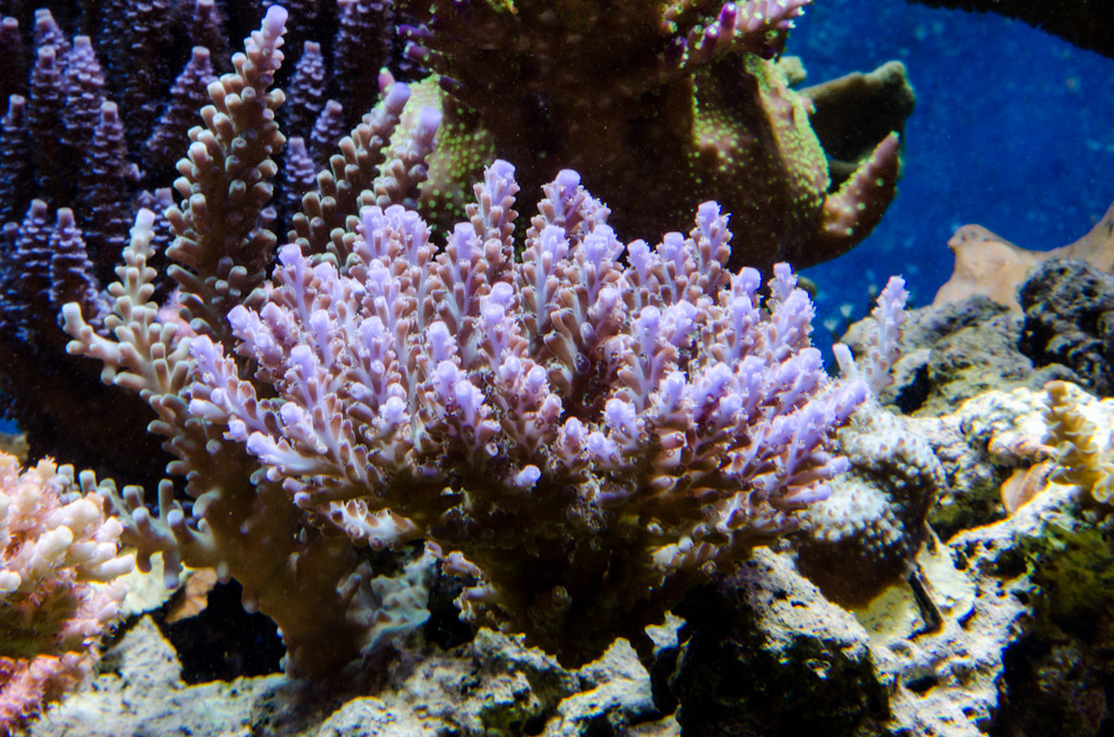 DSC_3737.jpg