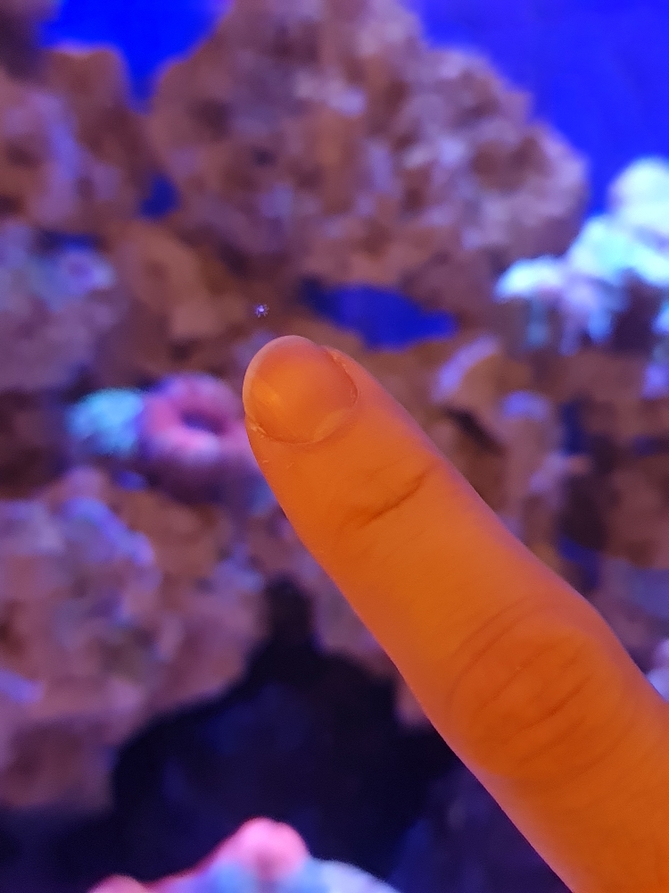 e4f6d98ce6c6cd49f420cd6e210fa1d4.jpg