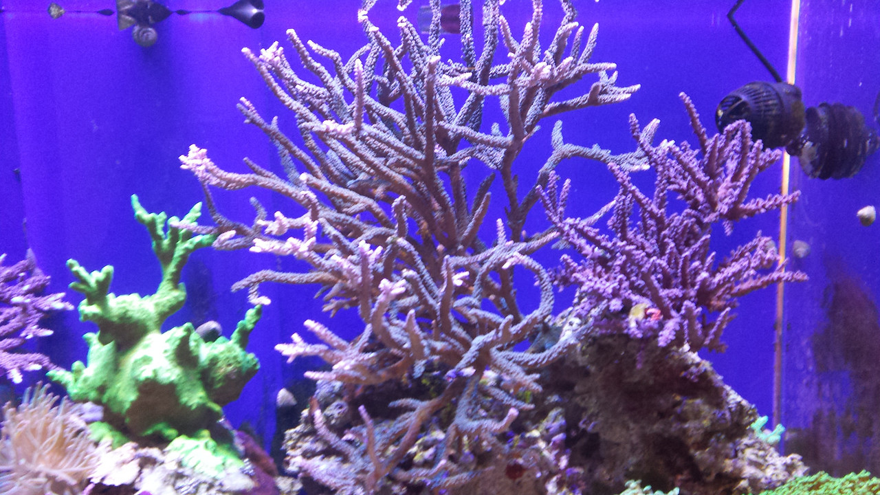 20140616_180331-X2.jpg