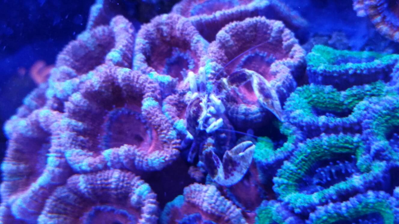 27ef6e34d36e13c0f57e197fd1ae9cd9.jpg
