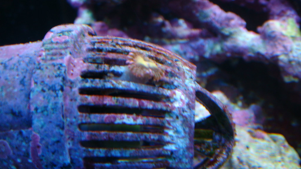 3750245995_54a21e00a4_b.jpg
