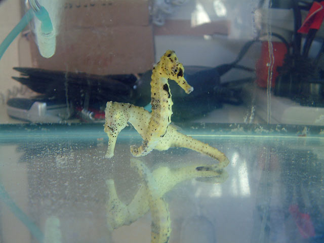 casper_0307.jpg