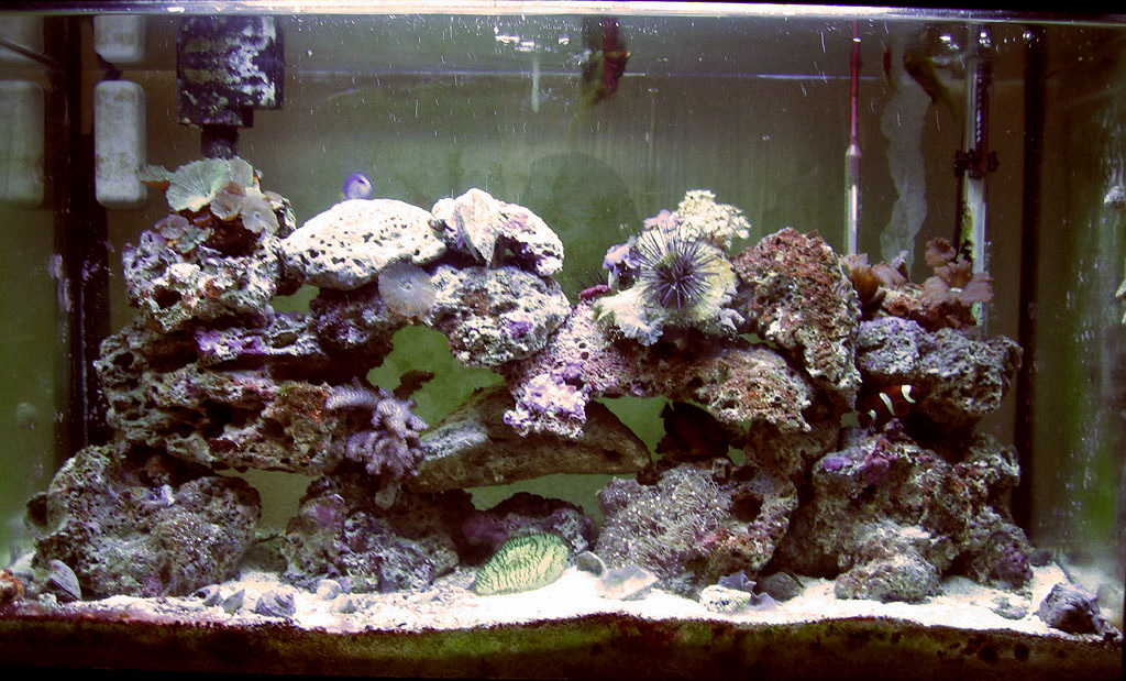 tank-01-06-06.jpg