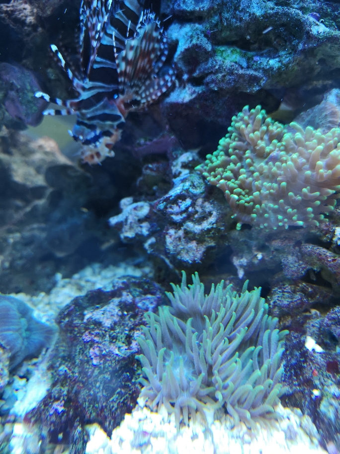 e3905cb74426ae31c0d6c9dc4847be5c.jpg