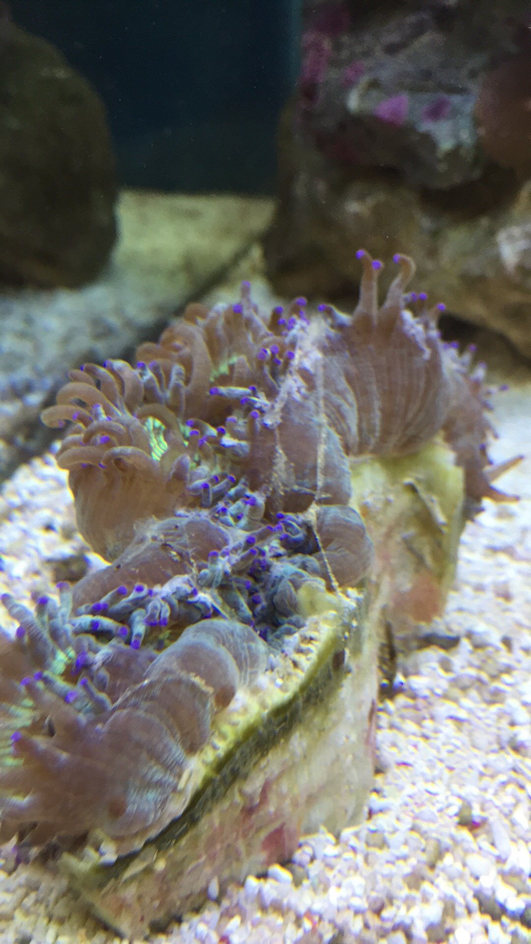 630c1efbf44b9fd39604770c69e8321c.jpg