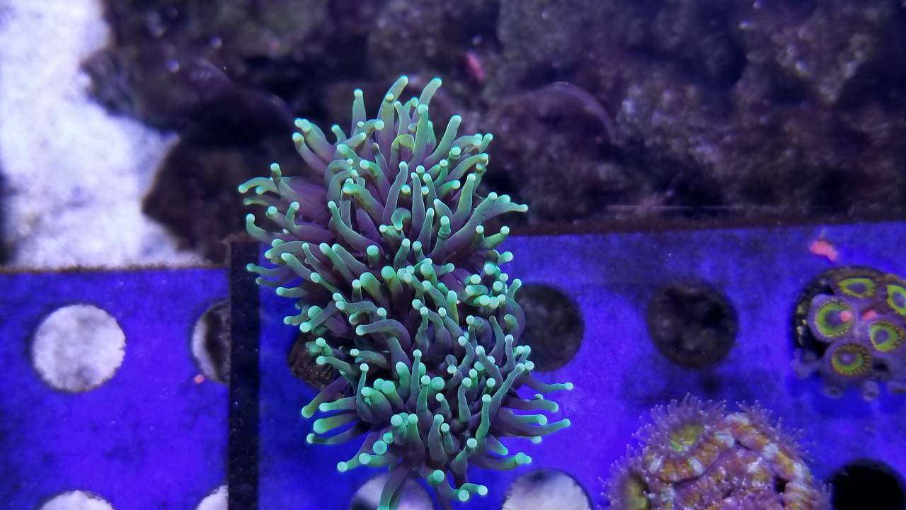 69e46905bfd1c0f818825f2f49d2f351.jpg