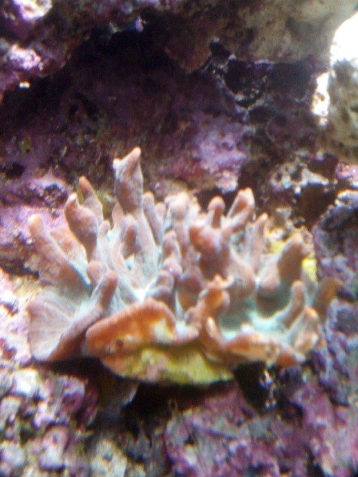 291201269_o.jpg