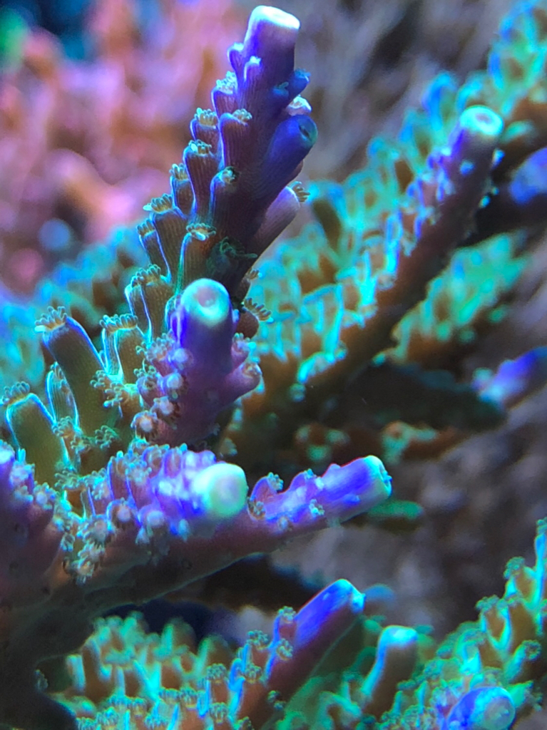 8c1b492ce288de8ca20ef027fa2574e0.jpg