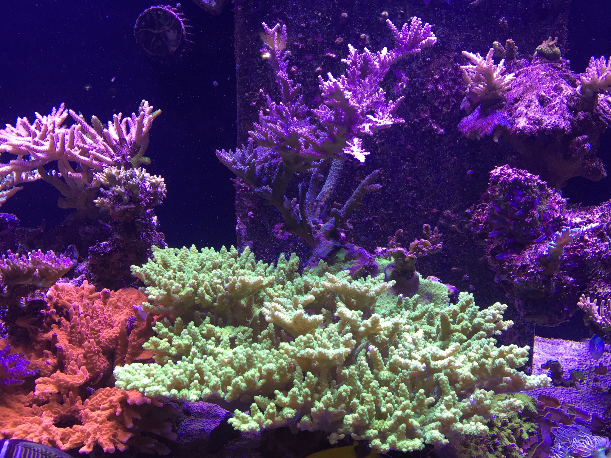 9f11cea38a9ef554598de69b09630b31.jpg