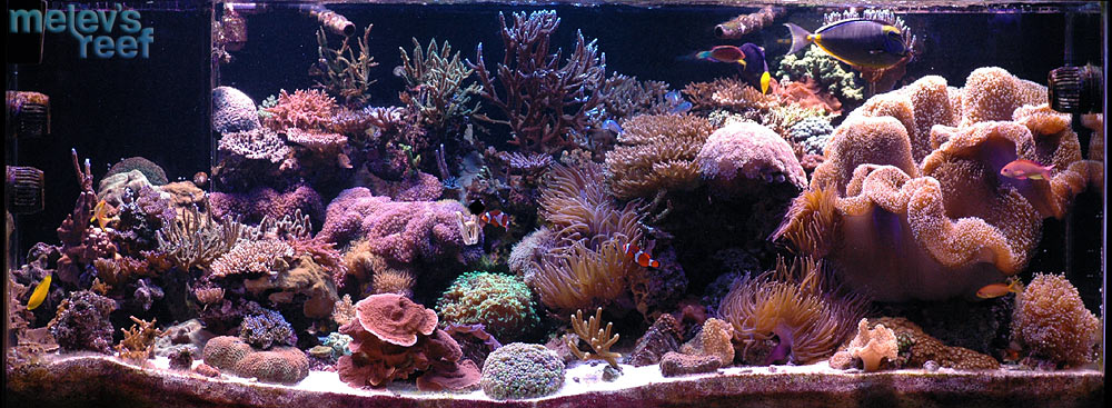 fts_022809.jpg