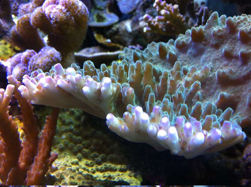 photo-2-L.jpg