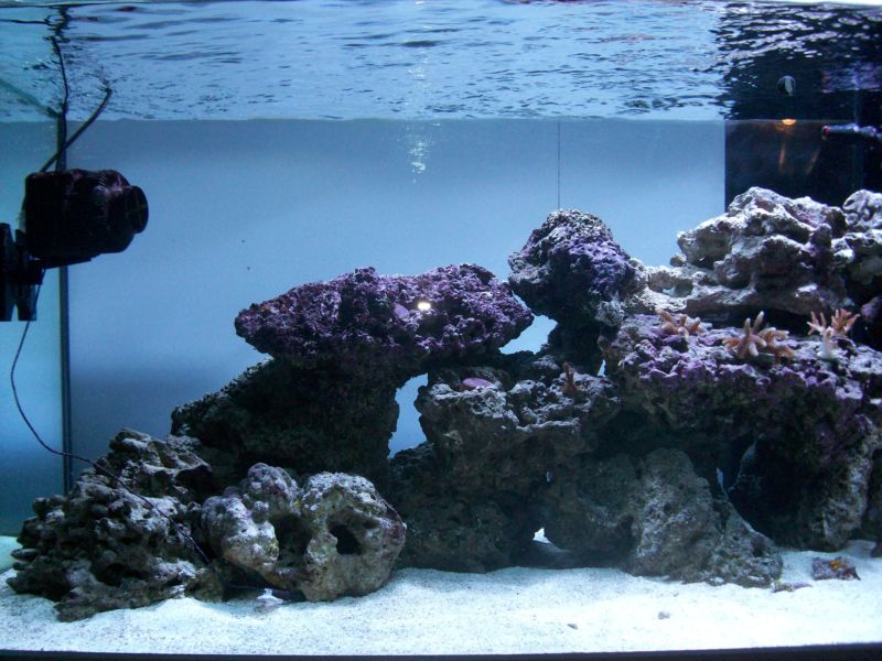 100_8574.jpg