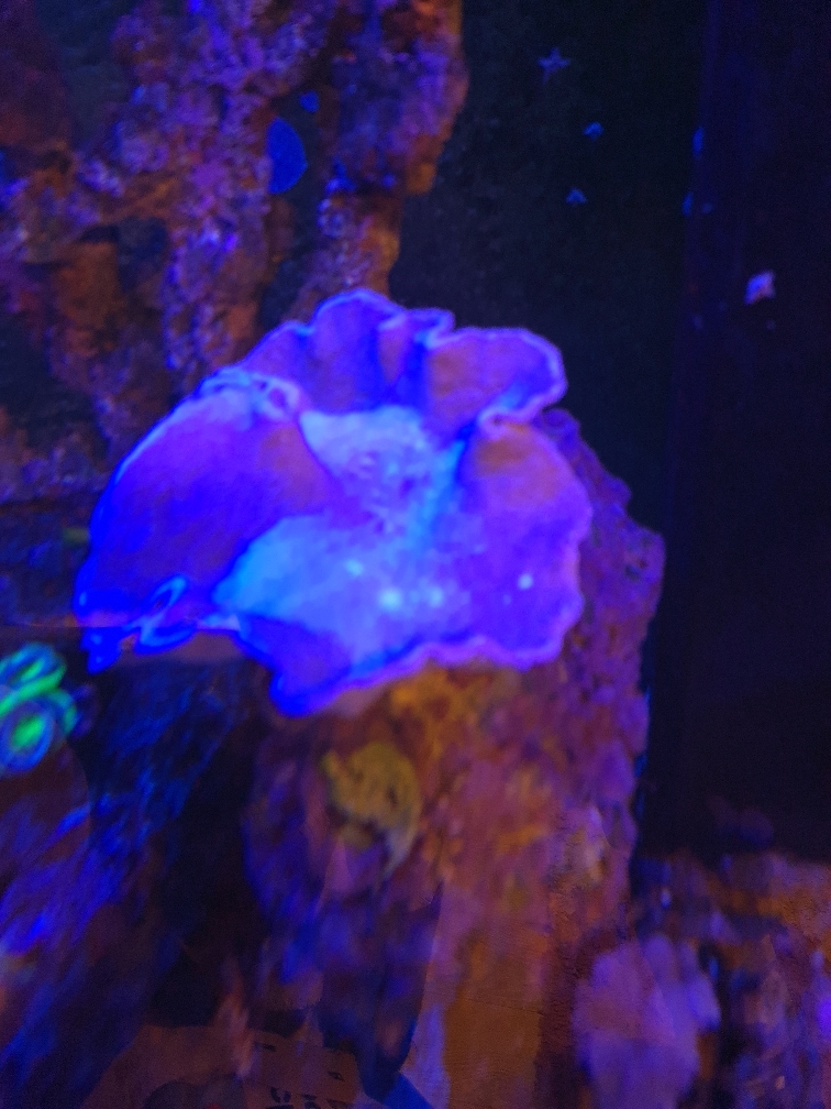 d9d791e46f1345f1c70cf0033336f8a0.jpg