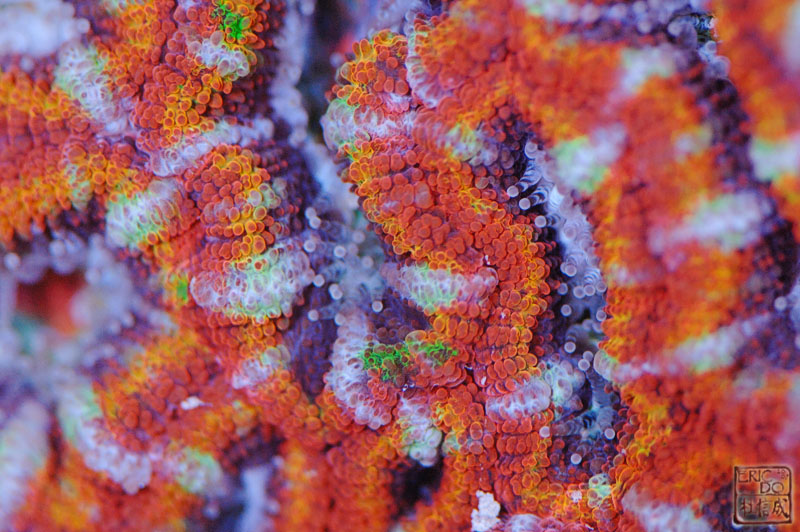 D2X_1102.jpg