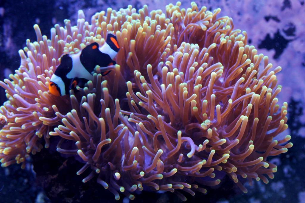 BuzZZZRIUAE9GYT.jpg:large